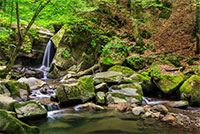 incredibly beautiful and clean little waterfall with several cascades over large stones in the forest comes out of a huge rock covered with moss