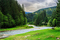 camping place on rocky shore of mountain river near the forest on dull day