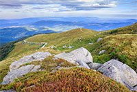 huge and majestic stones on top of the mountain by the road near the forest hirizontal