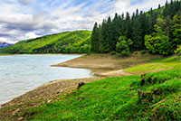 view on lake near the pine forest on mountain background