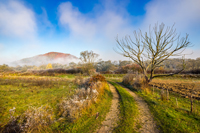 rural landscape with road to mountain through forest and agricultural meadow with fence and few trees in late autumn foggy and frosty morning